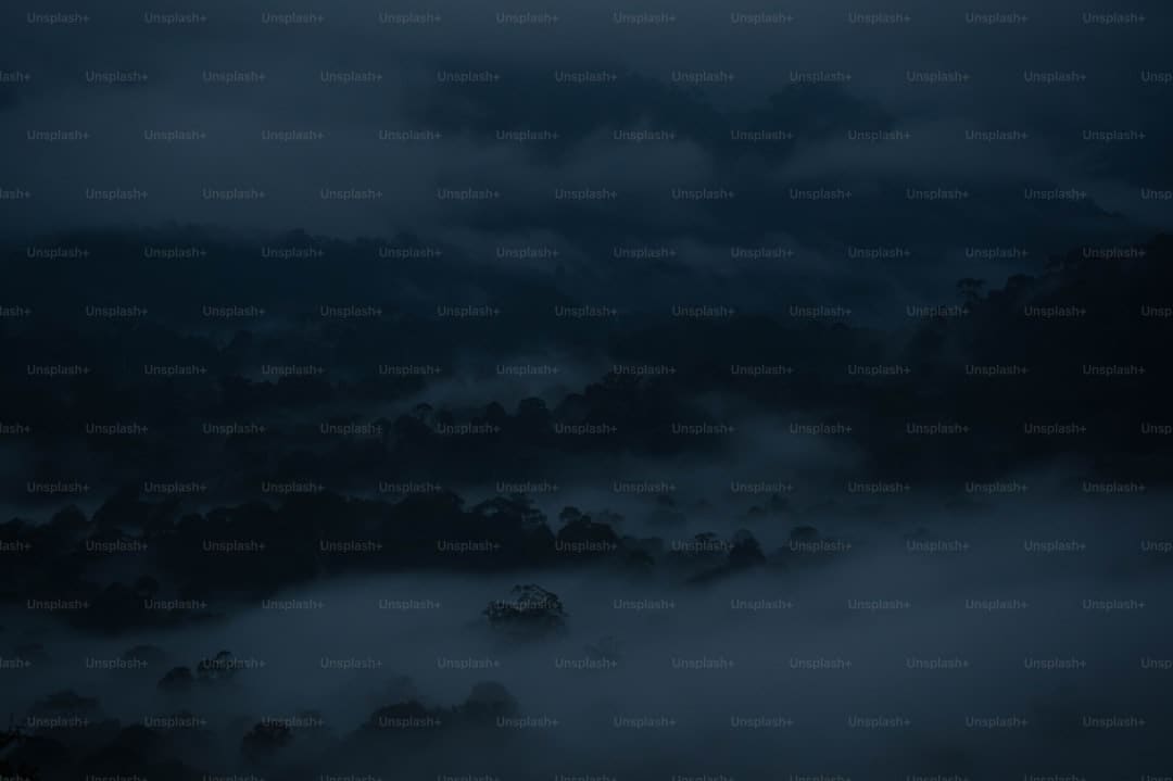 http://n.sinaimg.cn/translate/w900h616/20180310/3Gtg-fxpwyhw8230888.jpg?zdy
